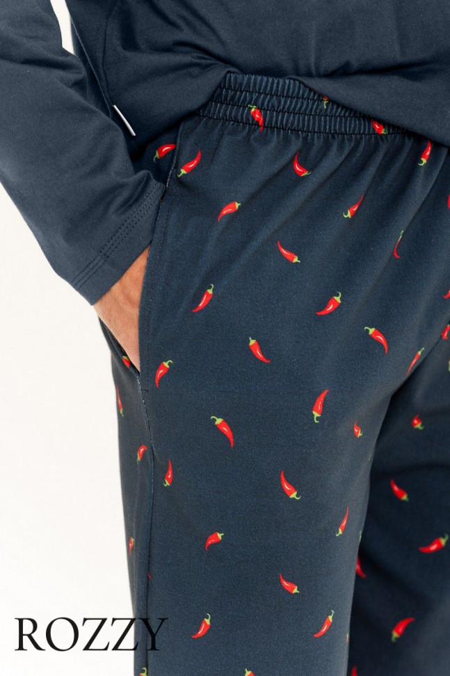 Пижама мужская Taro Eric 3312/3313 графитовый