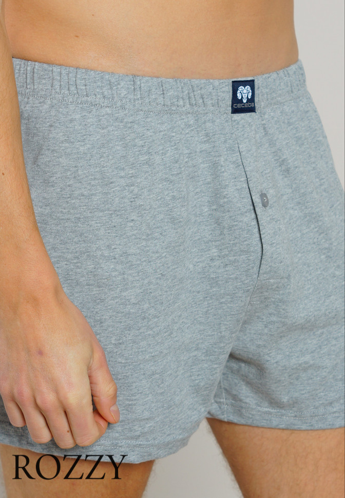 Трусы боксеры мужские Ceceba 002675/5XL-6XL серый меланж/синий(уп.2шт.)