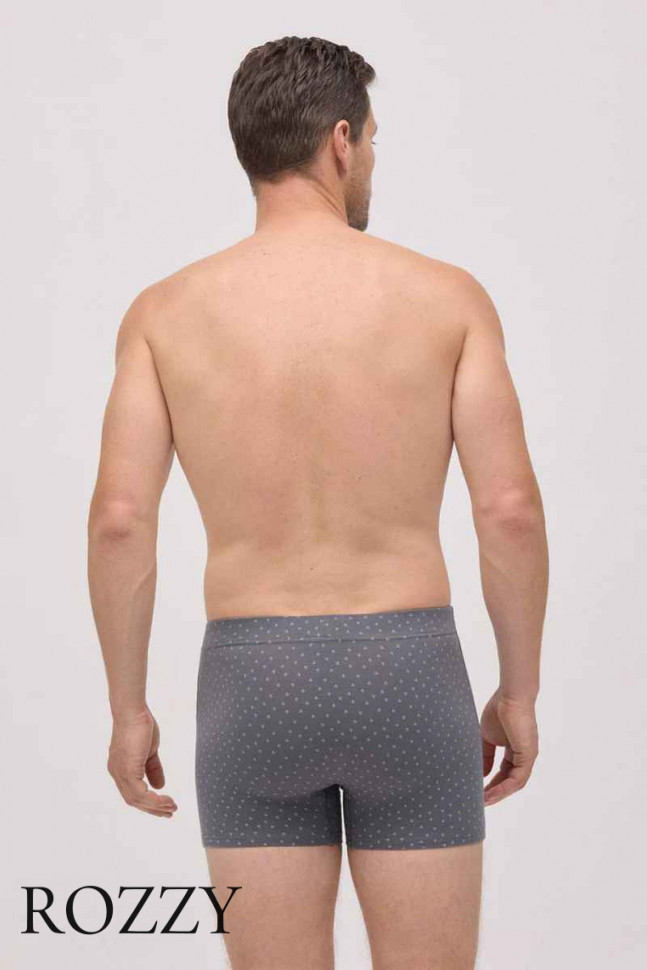 Трусы шорты мужские Ysabel Mora 20428 синий/серый (уп.2шт.)