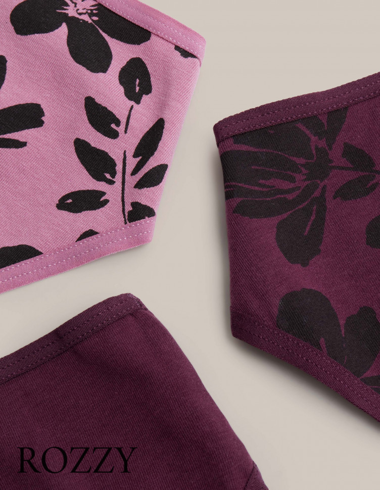 Трусы слипы хлопковые Esotiq Mia-Mia 42267 мультиколор (уп.3шт.)