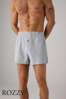 Трусы боксеры мужские Ysabel Mora 20373 светло-серый