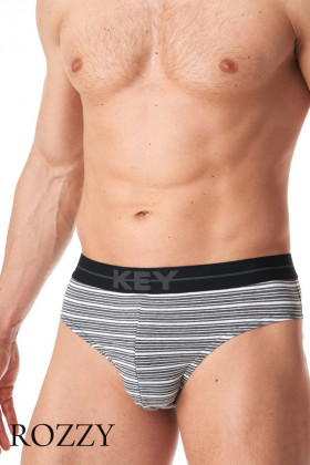 Трусы слипы мужские Key MPP 356 B23 серый/красный (уп.2шт.)