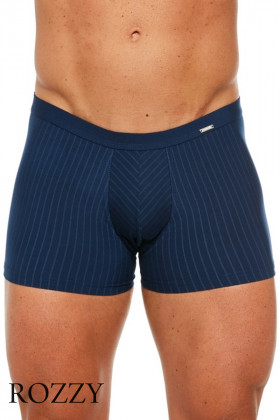 Трусы шорты мужские Cornette 912-3 синий